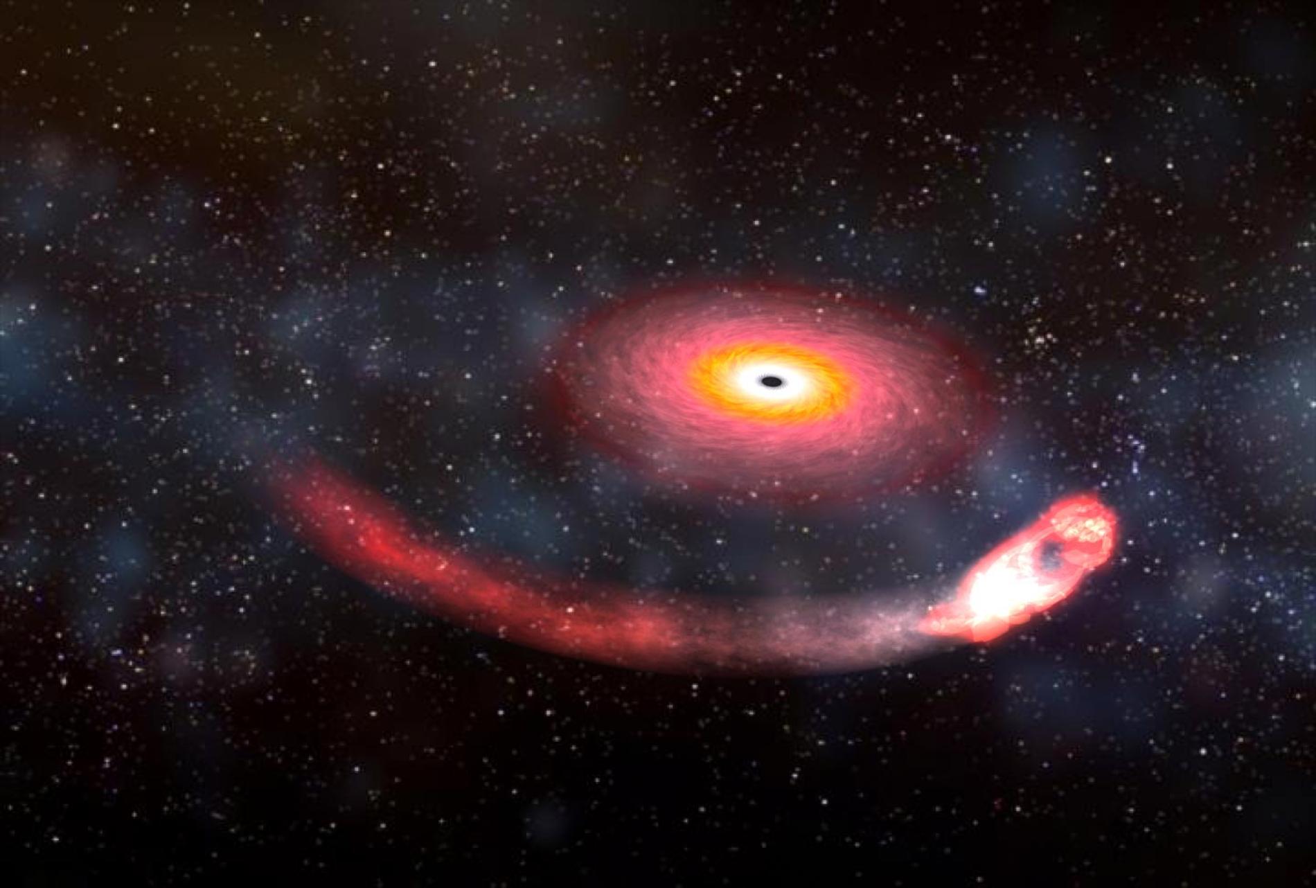 ブラックホールのげっぷ、新たなタイプの重力波が初観測