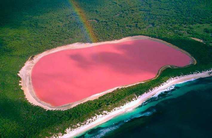 オーストラリアに存在する”ヒリアー湖”は鮮やかなピンク色をしている