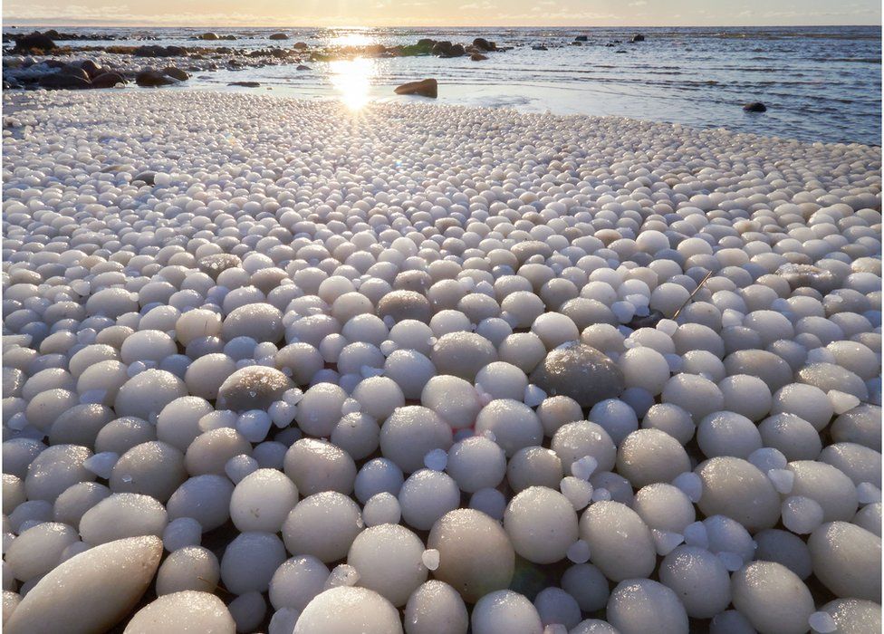 フィンランドで数えきれないほどの「氷の卵」が浜辺を覆う珍現象が発生