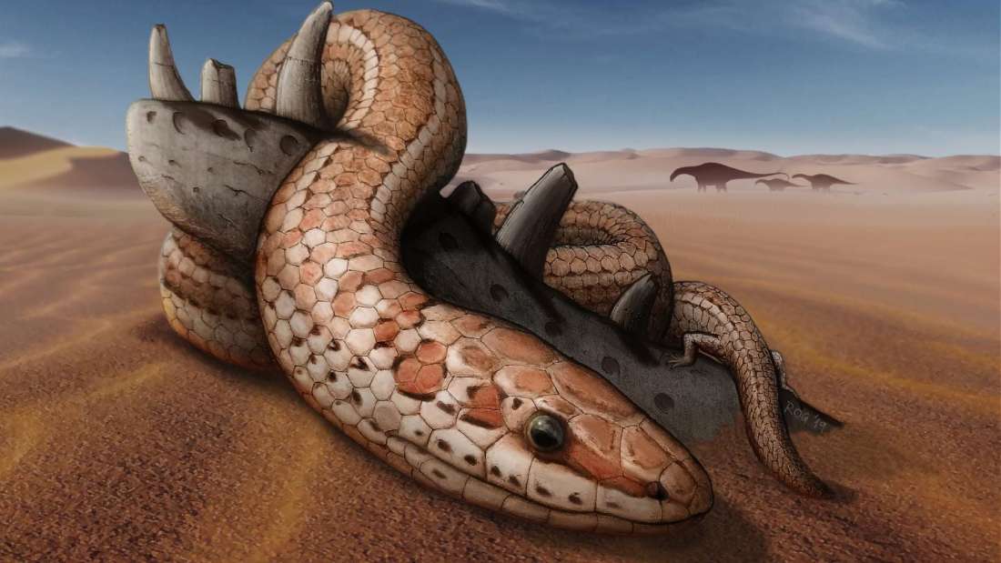 初期のヘビには足があった、進化の定説が覆される