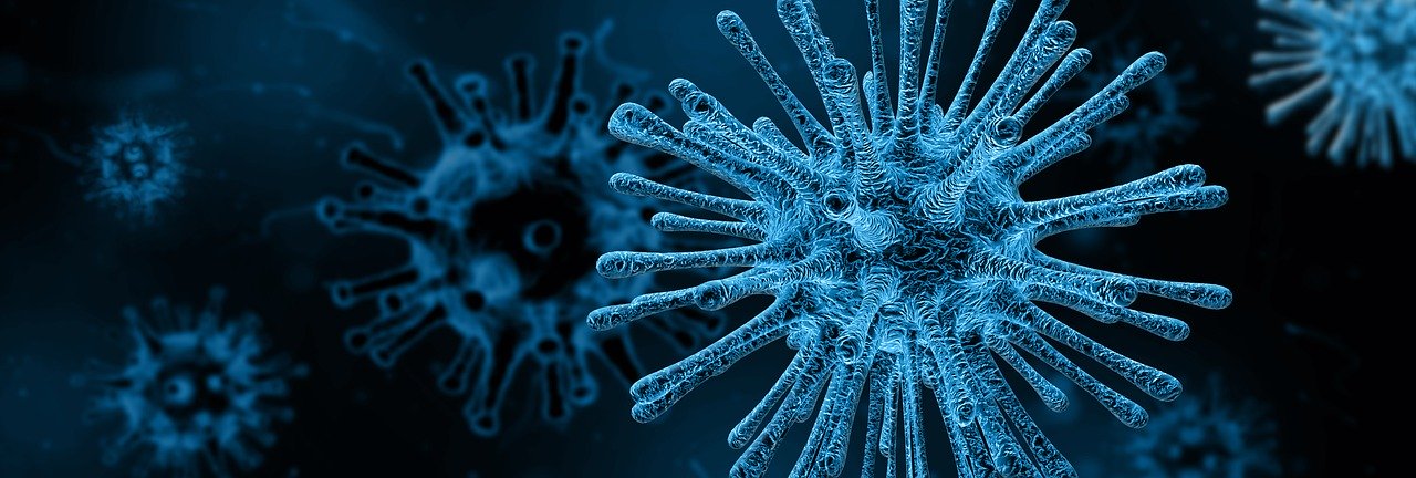 ウイルスに感染していると別のウイルスに感染しにくくなることが明らかに