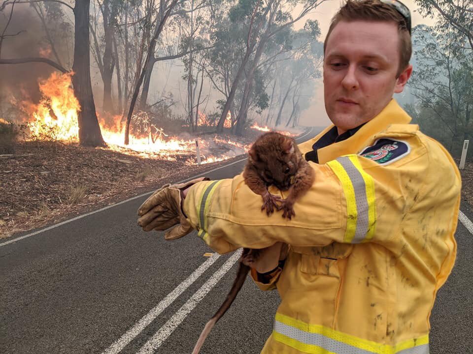 5億匹もの動物がオーストラリア大火災によって焼死か