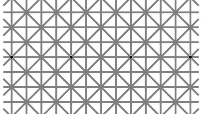 あなたは12個の黒い点を一度に見ることが絶対にできません