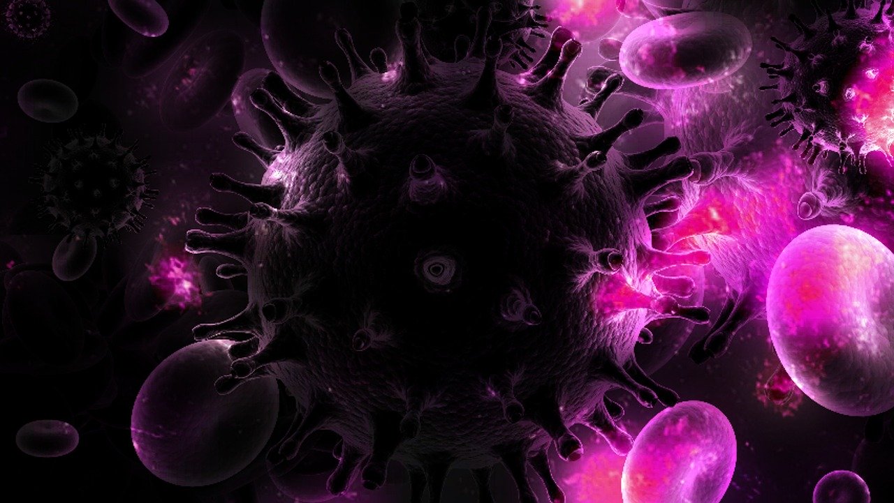 ヒト免疫不全ウイルス(HIV)完治者が誕生したことが報告される