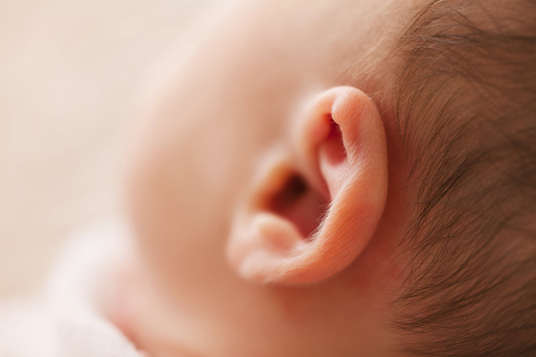 ほとんどの人がコントロール不能なようだ、あなたは内耳にある鼓膜張筋を操作できますか？