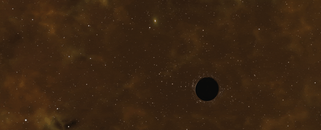 ブラックホールに飲み込まれるも生き残った星が発見される