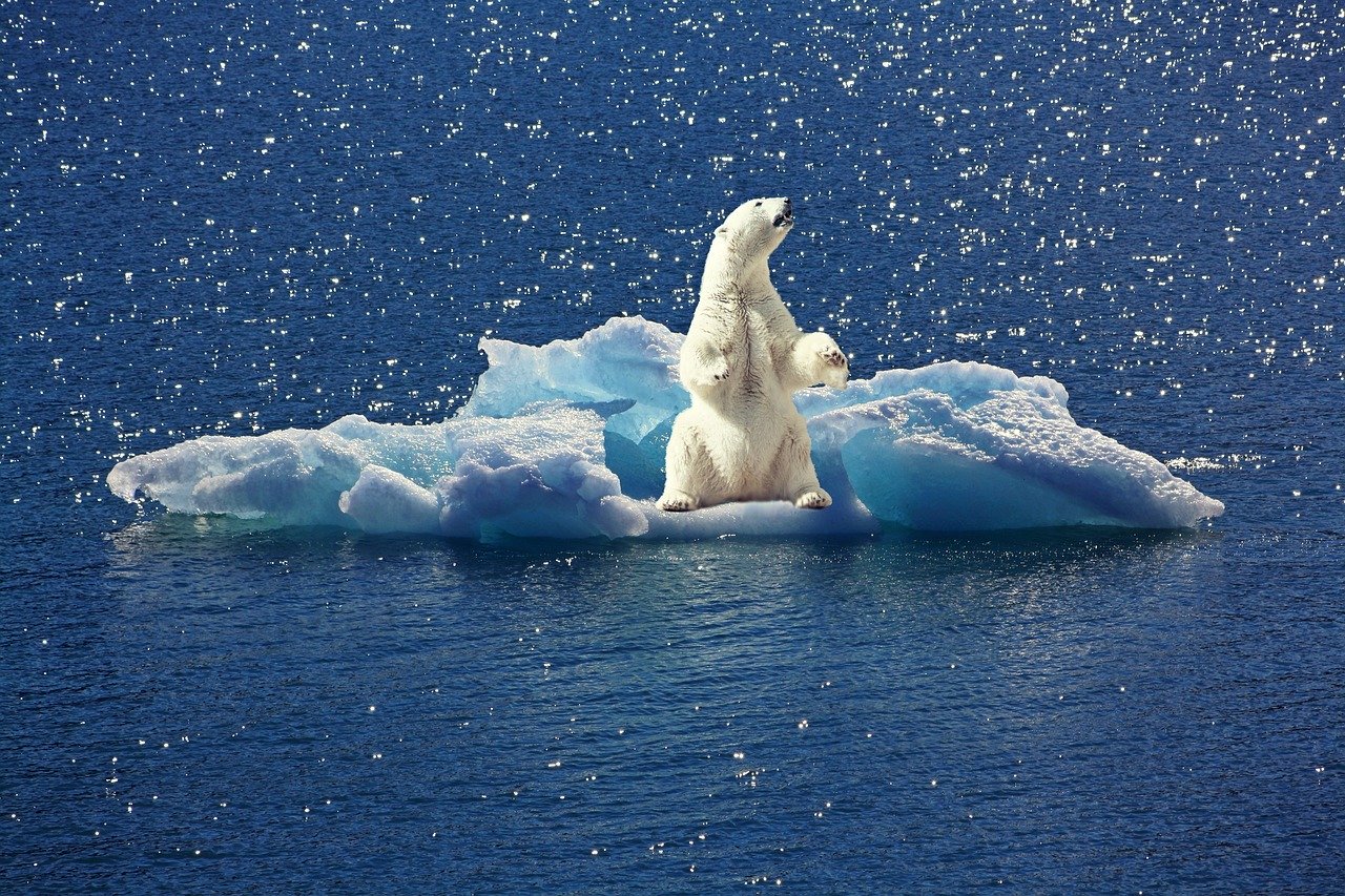 二酸化炭素排出を抑制したとしても、2050年までには夏に北極の氷が完全に溶けるという研究結果