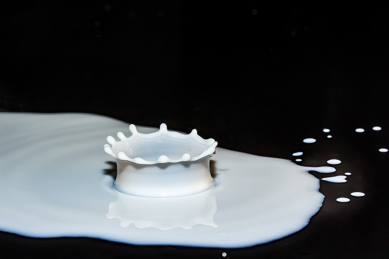 科学者たちはゴキブリミルクが新たなスーパーフードになると考えている