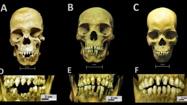 メキシコに埋められたアフリカ人の頭蓋骨からおぞましい奴隷貿易の様子が明らかに