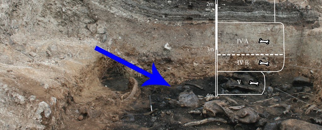 タール坑で発見された古代の大ナマケモノは自身の排泄物によって死んだことが明らかに