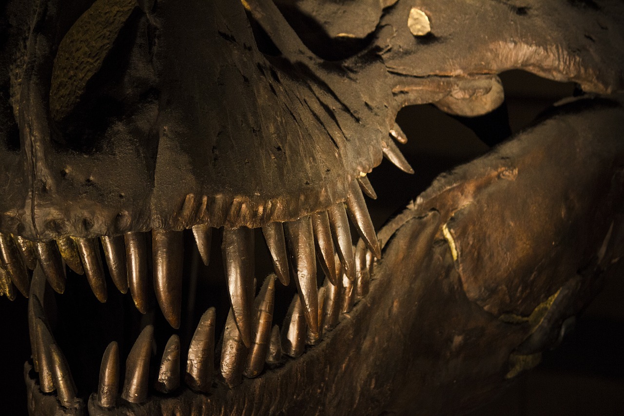 保存状態の良い胃の化石によって、一億年前の恐竜の『最後の晩餐』が明らかに