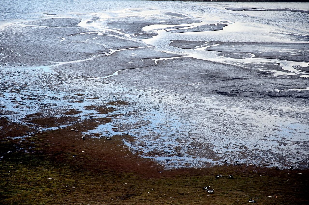永久凍土の融解で太古のウイルスと炭素、そして燃料が流出