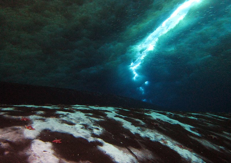 南極の海底で恐れられていたメタン流出が確認される