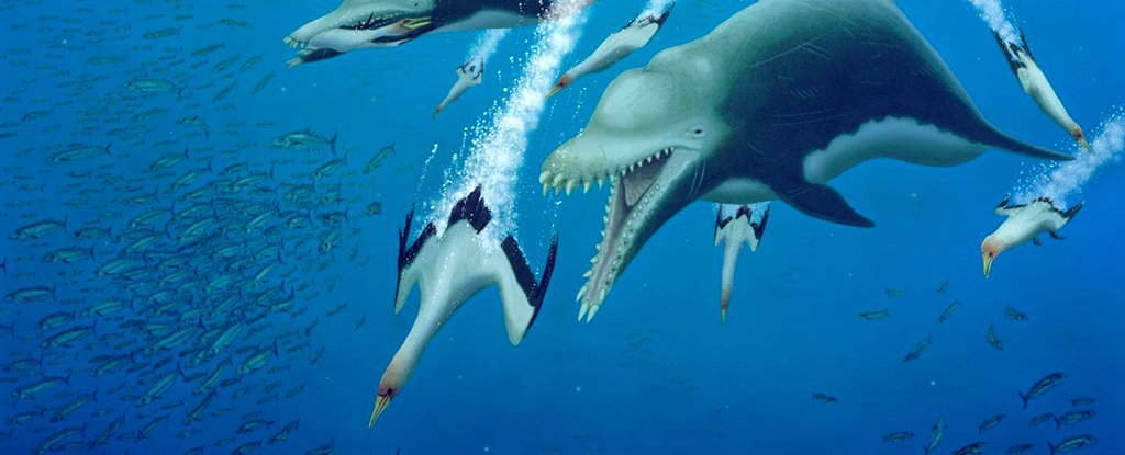 かつては大型の捕食性イルカが大洋を恐怖で支配していた
