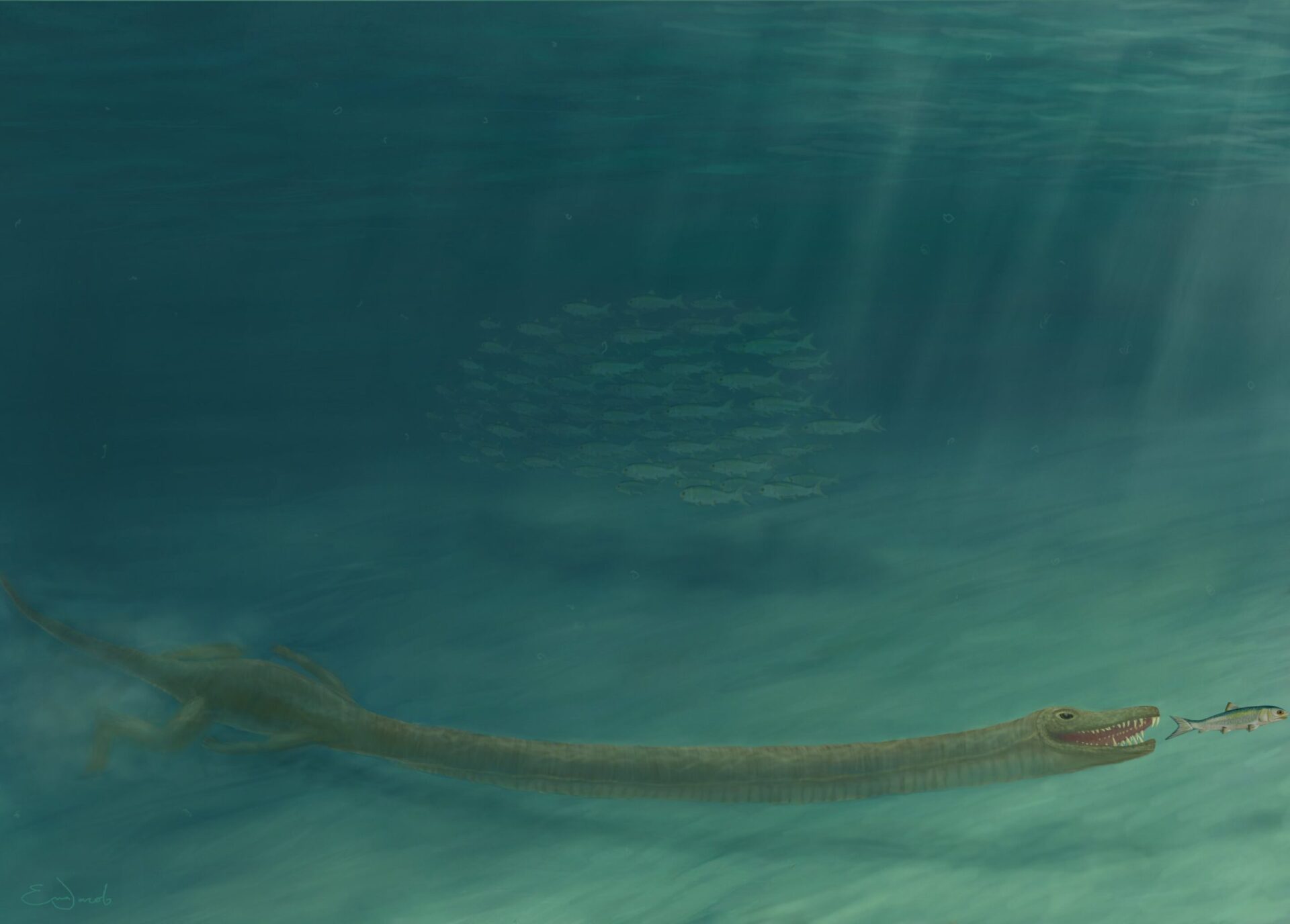 とんでもなく長い首を持つ古代の爬虫類がいかにして生き延びていたのかが明らかに