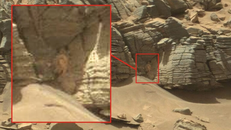 火星で確認されている3つの生物の痕跡
